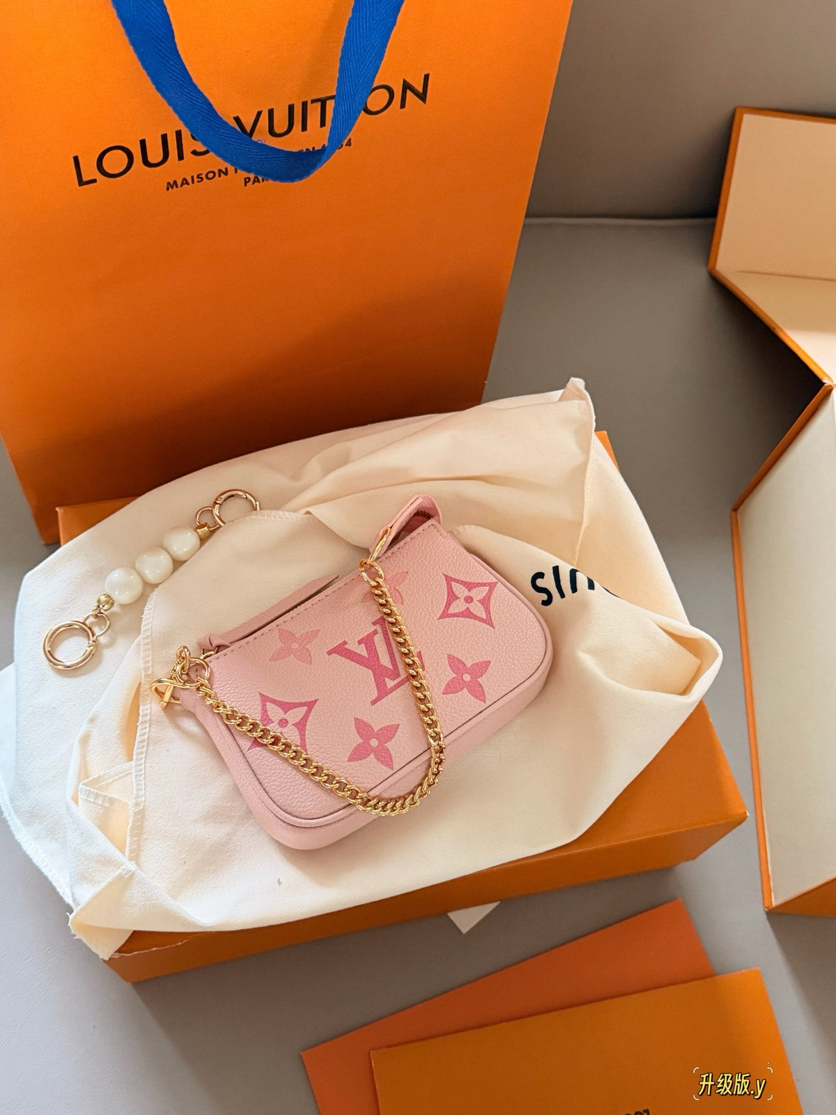 Mini Pochette Accessories