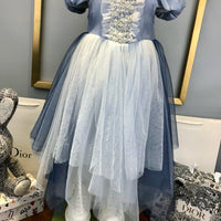 Princess Dress