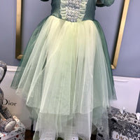 Princess Dress