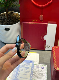 Baignoire Watch