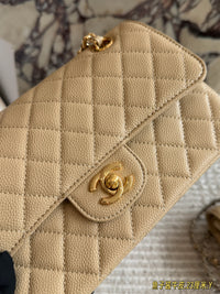 Classic Flap Bag 23