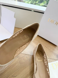 Adiorable Ballet Flats
