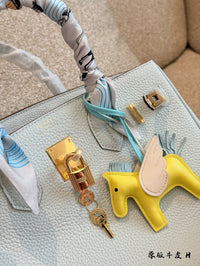 Birkin 30