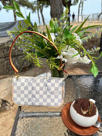 Pochette Accessoires Bag