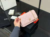 Wallet on Chain Bag