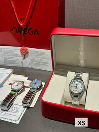 Seamaster Aqua Terra Watch