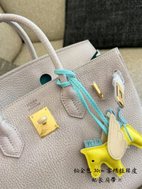 Birkin 30