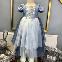 Princess Dress