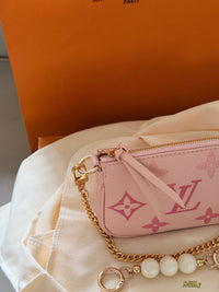 Mini Pochette Accessories