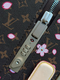 Takashi Murakami Horizon 55