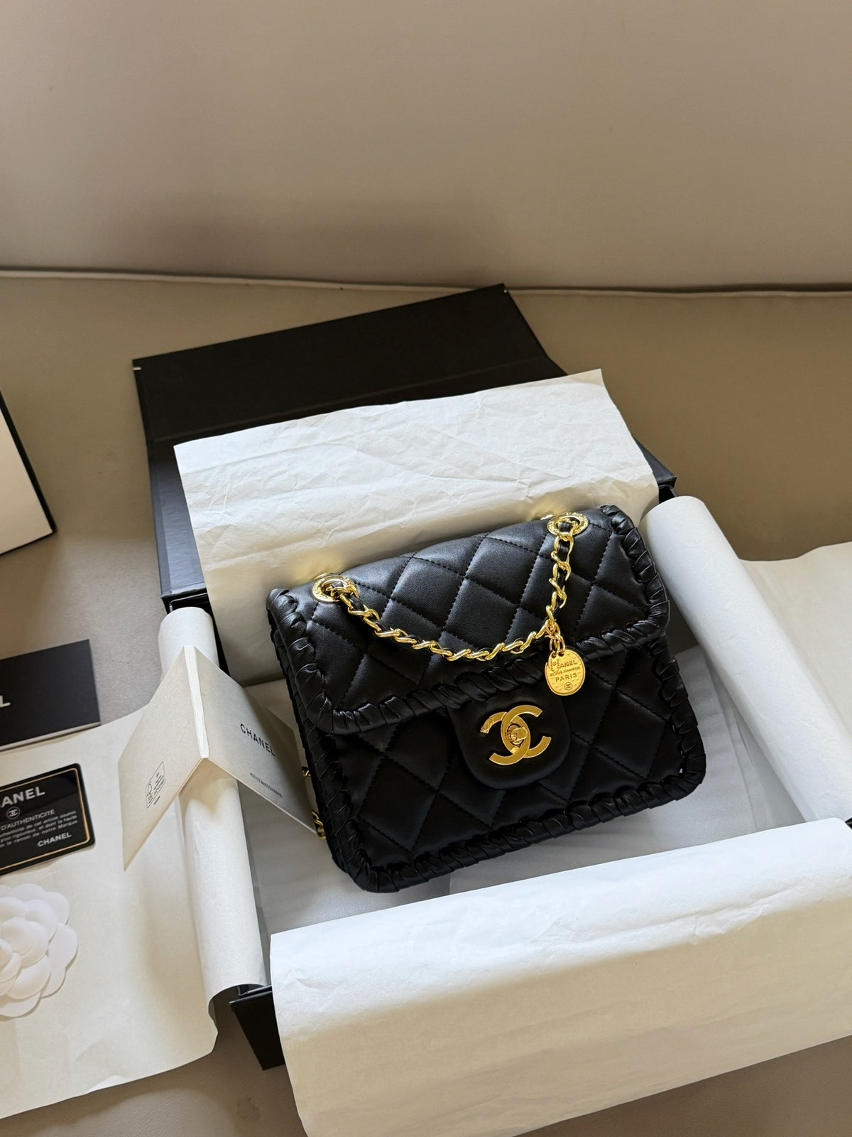 22C Mini Flap Bag