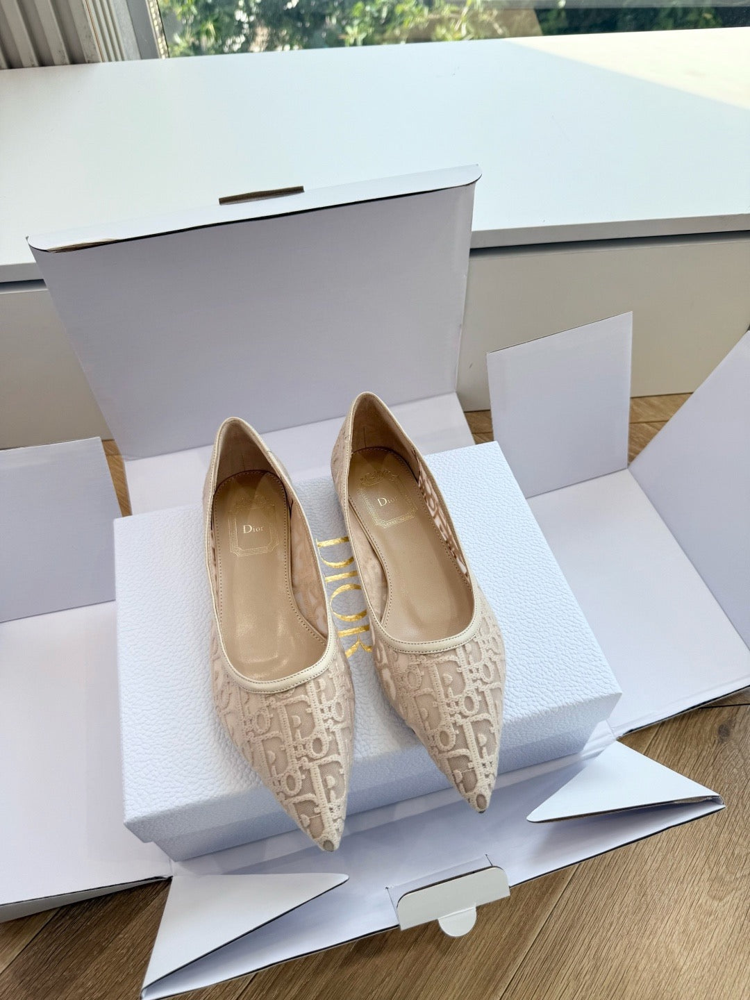 Adiorable Ballet Flats