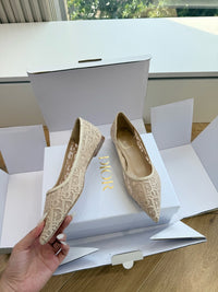 Adiorable Ballet Flats