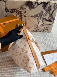 Multipass Bag Monogram Dune