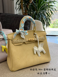 Birkin 30