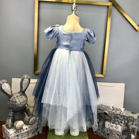 Princess Dress