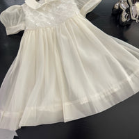 Ivory Tulle Dress