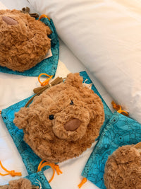 Bartholomew Bear Bag