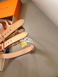 Dog Collars & Leads