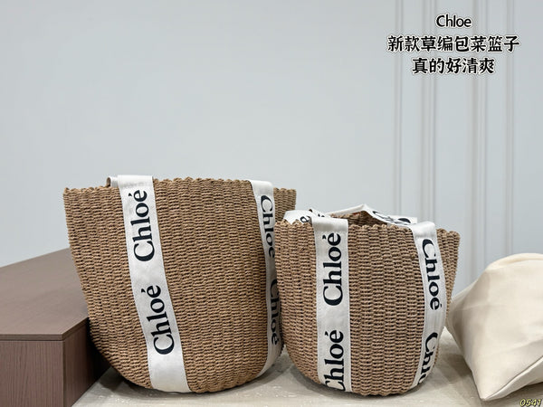 Woody Raffia Bag