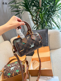 Speedy Bandoulière 18 x The Darjeeling Limited Bag