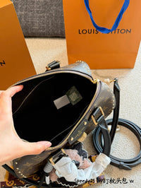 Speedy 25 Trunk Bag