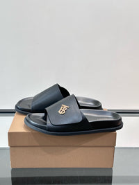 TB Logo Slide