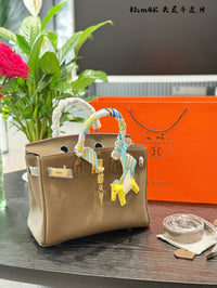 Birkin 30