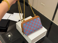 Clutch on Chain Bag