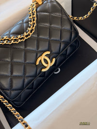 Wallet on Chain Gold Ball