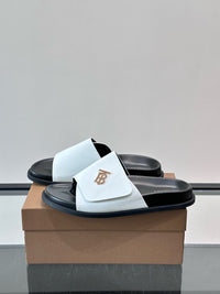 TB Logo Slide