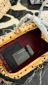 Pony Hair Clutch Bag