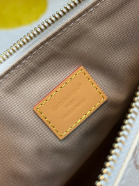 Multipass Bag