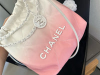 22 Mini Bag
