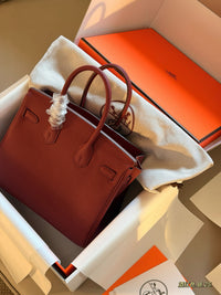 Birkin 25 Bordeaux