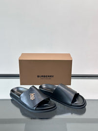 TB Logo Slide