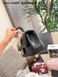 Mini Flap Bag