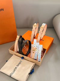 Dog Collars & Leads