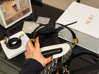 Oblique Saddle Bag
