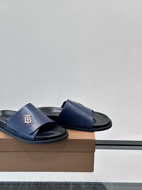 TB Logo Slide
