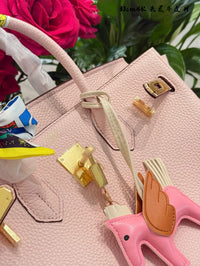 Birkin 30