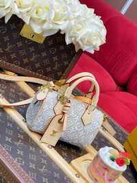 Nano Speedy Bag
