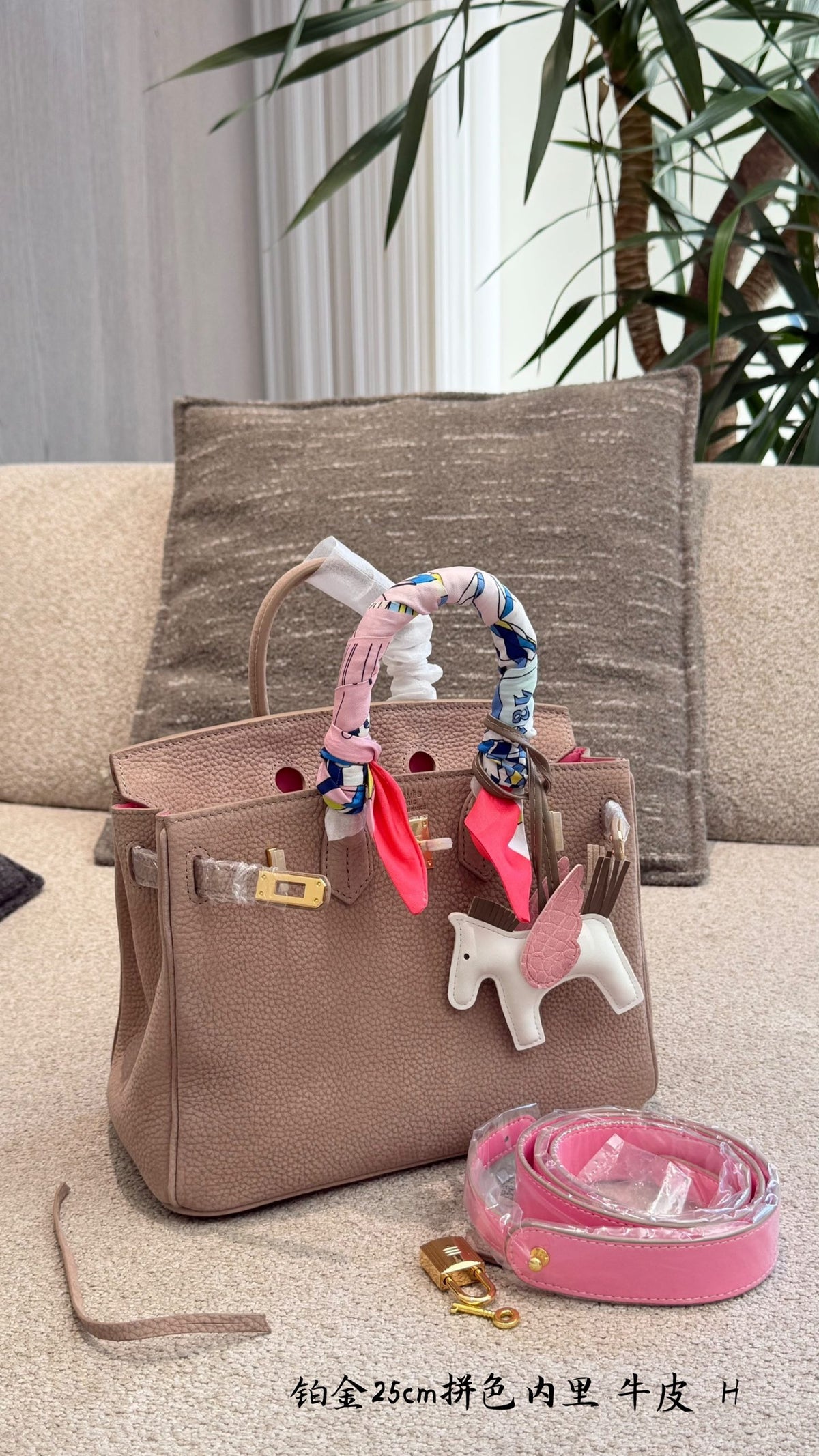 Birkin 25