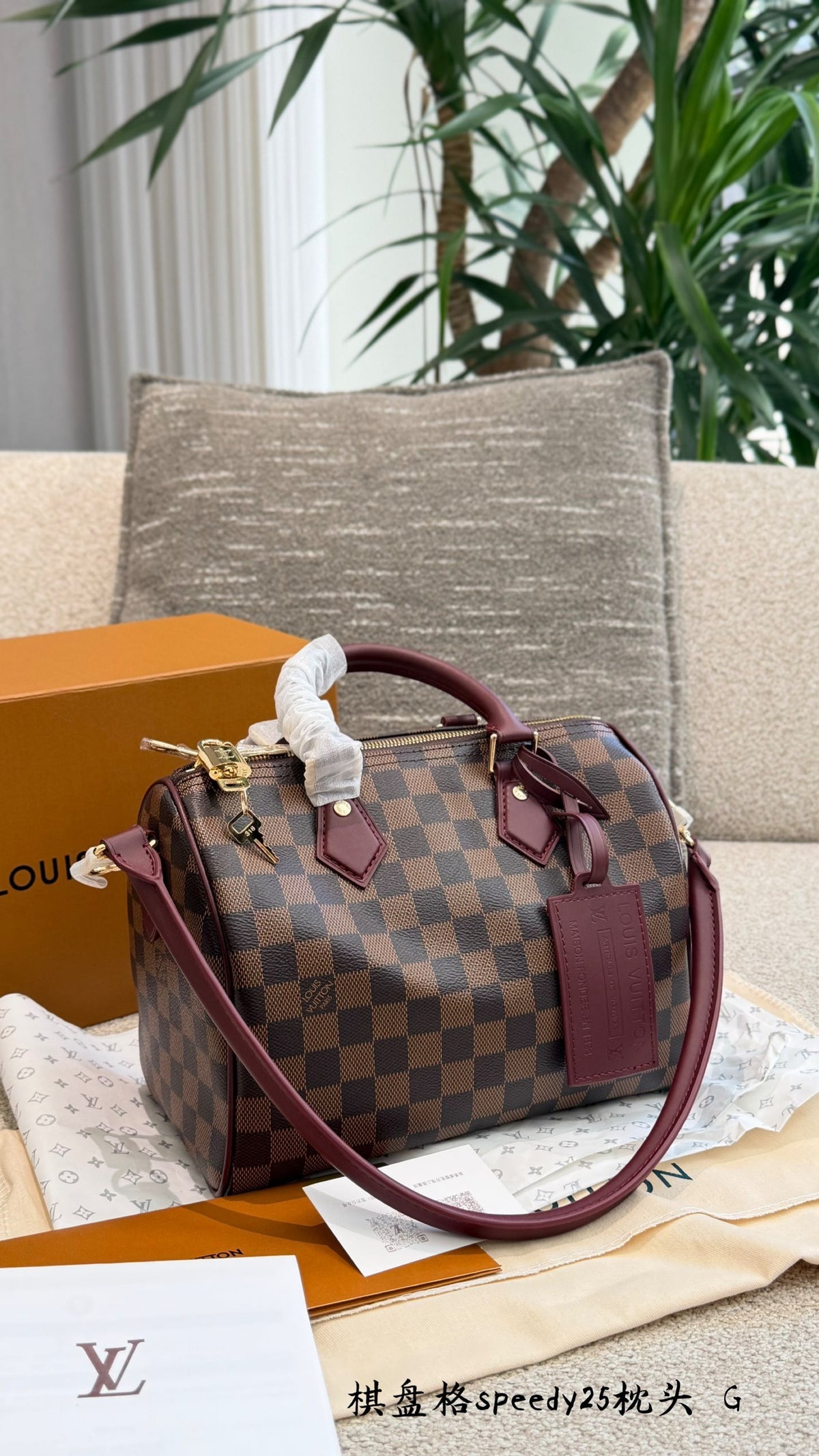 Speedy 25 Soft Bag