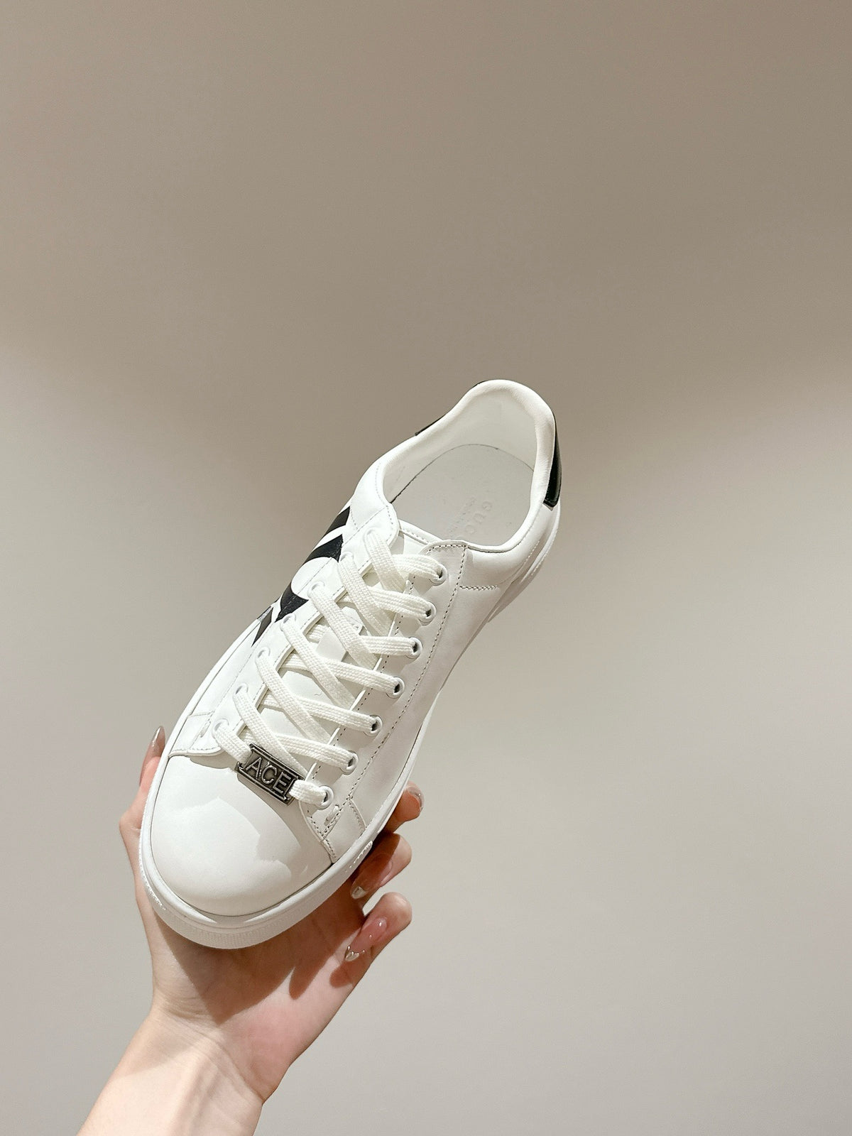 Low Top Sneakers