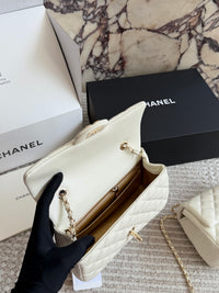 Mini Flap Square Bag