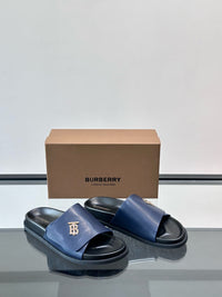 TB Logo Slide