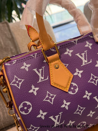 Speedy P9 Bandoulière 25 Bag