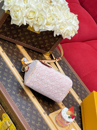 Speedy Bandoulière 20 Bag