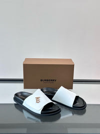 TB Logo Slide